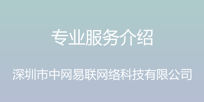 专业服务介绍 - 深圳市中网易联网络科技有限公司