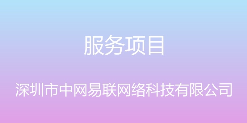 服务项目 - 深圳市中网易联网络科技有限公司