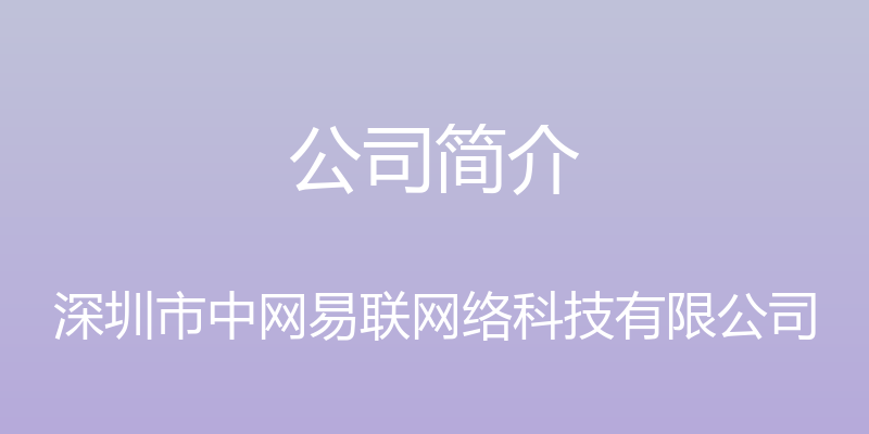 公司简介 - 深圳市中网易联网络科技有限公司