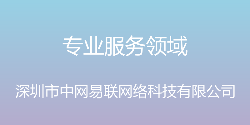 专业服务领域 - 深圳市中网易联网络科技有限公司