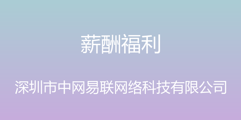 薪酬福利 - 深圳市中网易联网络科技有限公司